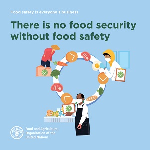 Food Safety and Nutrition Security 2